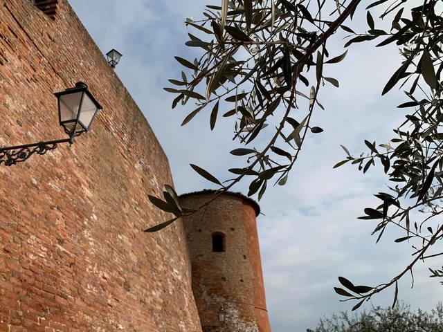Castelnuovo Calcea | Castelli Aperti 2021: visite all'Area del Castello